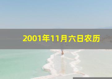 2001年11月六日农历