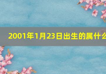 2001年1月23日出生的属什么