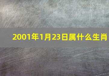 2001年1月23日属什么生肖