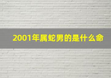 2001年属蛇男的是什么命