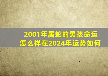 2001年属蛇的男孩命运怎么样在2024年运势如何