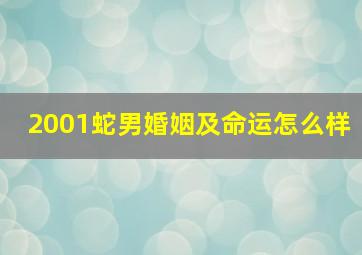 2001蛇男婚姻及命运怎么样