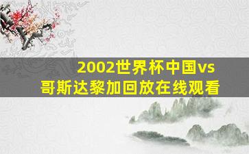 2002世界杯中国vs哥斯达黎加回放在线观看