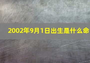 2002年9月1日出生是什么命