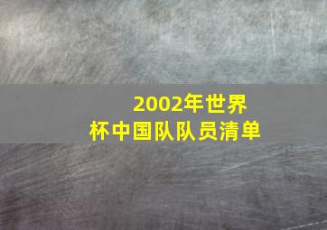 2002年世界杯中国队队员清单