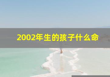 2002年生的孩子什么命