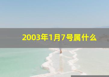 2003年1月7号属什么