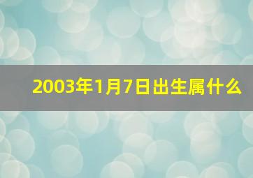 2003年1月7日出生属什么