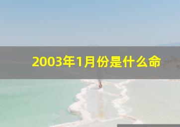 2003年1月份是什么命