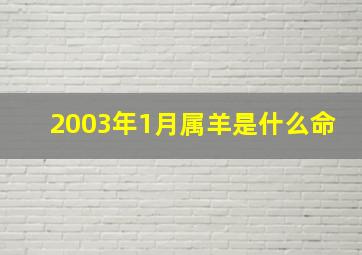 2003年1月属羊是什么命