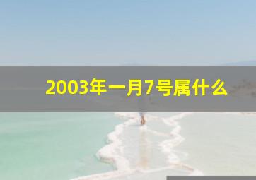 2003年一月7号属什么