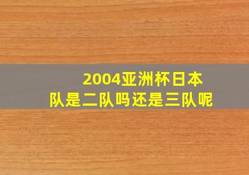 2004亚洲杯日本队是二队吗还是三队呢