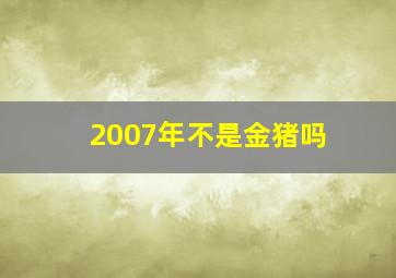 2007年不是金猪吗