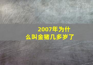 2007年为什么叫金猪几多岁了