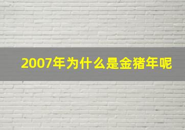 2007年为什么是金猪年呢