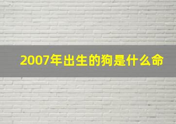 2007年出生的狗是什么命