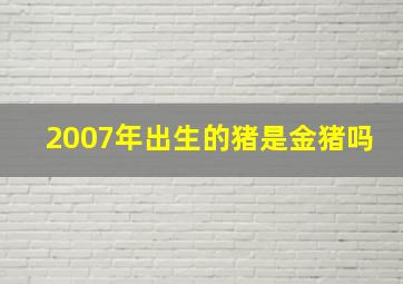 2007年出生的猪是金猪吗