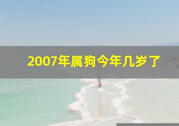 2007年属狗今年几岁了