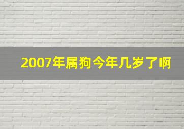 2007年属狗今年几岁了啊