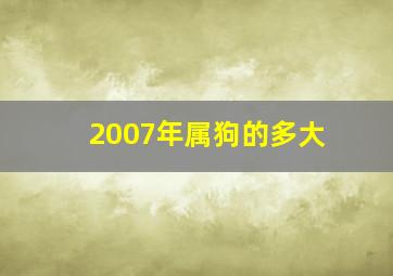 2007年属狗的多大