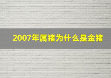 2007年属猪为什么是金猪