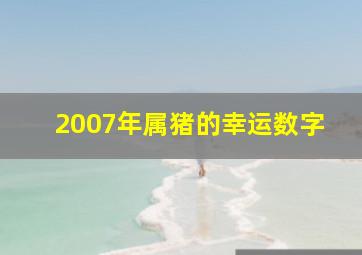 2007年属猪的幸运数字