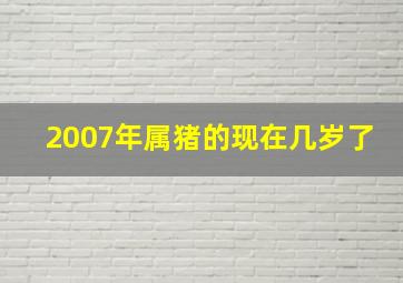 2007年属猪的现在几岁了