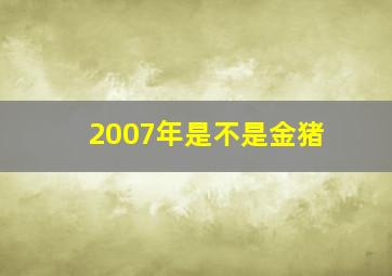 2007年是不是金猪