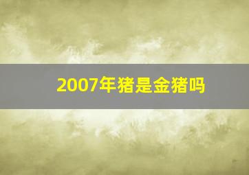 2007年猪是金猪吗