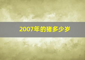 2007年的猪多少岁