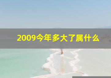 2009今年多大了属什么