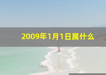 2009年1月1日属什么