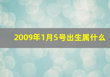 2009年1月5号出生属什么