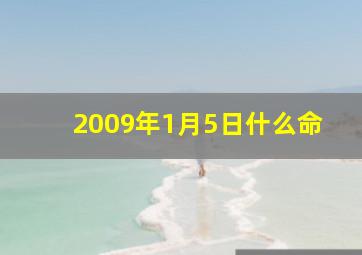 2009年1月5日什么命