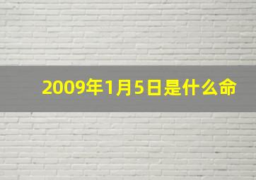 2009年1月5日是什么命