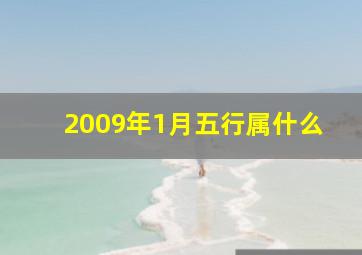 2009年1月五行属什么