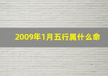 2009年1月五行属什么命