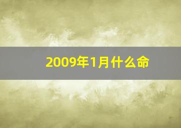 2009年1月什么命