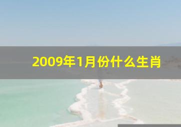 2009年1月份什么生肖