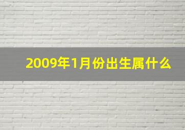 2009年1月份出生属什么