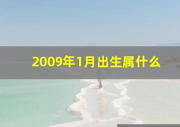 2009年1月出生属什么