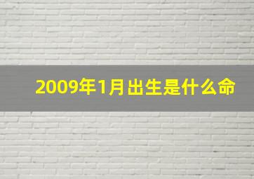 2009年1月出生是什么命