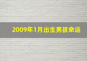 2009年1月出生男孩命运