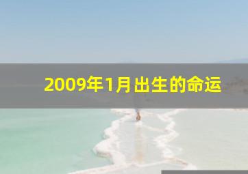 2009年1月出生的命运