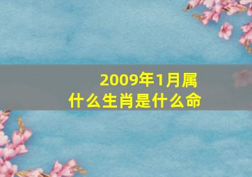 2009年1月属什么生肖是什么命