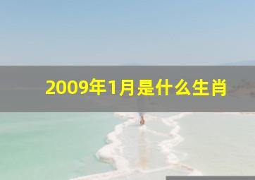 2009年1月是什么生肖