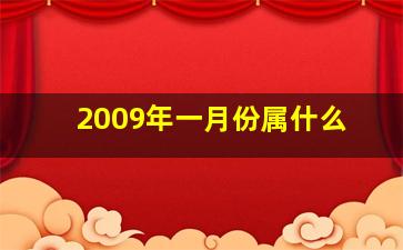 2009年一月份属什么