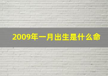 2009年一月出生是什么命