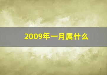 2009年一月属什么