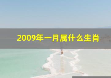 2009年一月属什么生肖